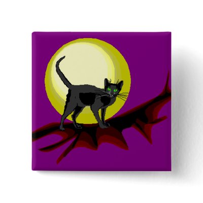 Bela Black Cat by pidgiefund