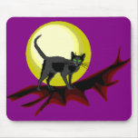 Bela Black Cat