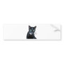 Bela the Black Cat Photo Bumper Sticker