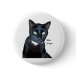 Bela the Black Cat Photo