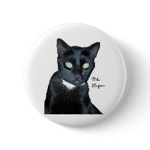 Bela the Black Cat Photo