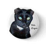Bela the Black Cat Photo