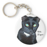 Bela the Black Cat Photo