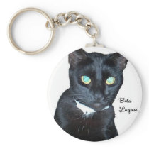 Bela the Black Cat Photo