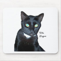 Bela the Black Cat Photo