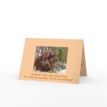 Belated Birthday, Humourous cards