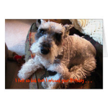 Belated Birthday, Humourous Greeting Cards