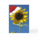 Belated Christmas cards