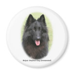 Belg Shep 9Y387D-053 Fridge Magnets