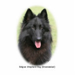 Belg Shep 9Y387D-053 photo sculptures