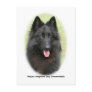 Belg Shep 9Y387D-053 Post Card