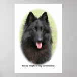 Belg Shep 9Y387D-053 Poster
