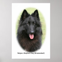 Belg Shep 9Y387D-053 Poster