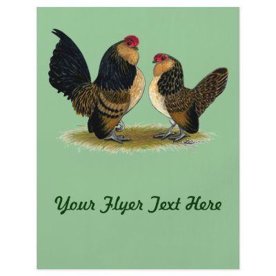 Belgian d'Anvers Bantams:  Quail by diane_jacky