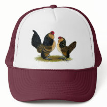 Belgian d'Anvers Bantams:  Quail