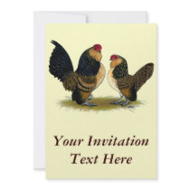 Belgian d'Anvers Bantams:  Quail