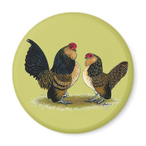 Belgian d'Anvers Bantams:  Quail