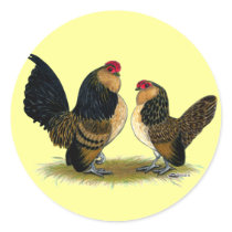 Belgian d'Anvers Bantams:  Quail