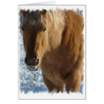 Belgian Draft Horse  Greeting Card