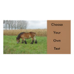 Belgian Draught   Horse-brown with black mane