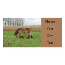 Belgian Draught   Horse-brown with black mane