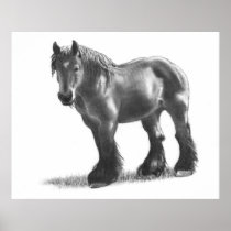 Belgian Draught   Horse in Pencil: Freehand Art