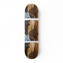 Belgian Draught   Horse Skateboard