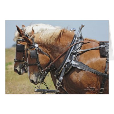 Belgian Draught   Horse Team by horse_designs