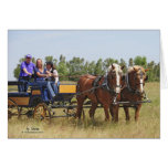 Belgian Draught   Horse Wagon