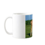 Belgian Filly Mug