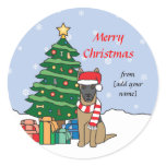 Belgian Malinois and Christmas Tree