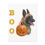 Belgian Malinois Boo Postcard
