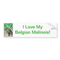 Belgian Malinois Bumper Stickers