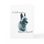 Belgian Malinois Cold Nose Warm Heart