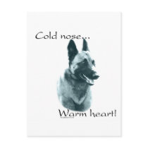 Belgian Malinois Cold Nose Warm Heart