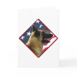 Belgian Malinois Flag 2