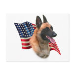 Belgian Malinois Flag Postcards