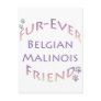 Belgian Malinois Furever Post Cards