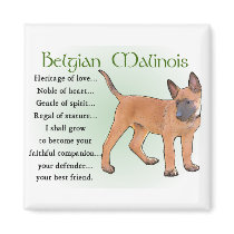 Belgian Malinois Gifts Fridge Magnets