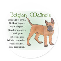 Belgian Malinois Gifts Sticker