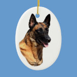 Belgian Malinois head Ornament ornaments
