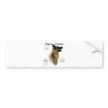 Belgian Malinois History Design bumper stickers