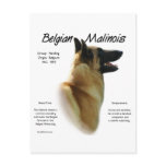 Belgian Malinois History Design postcards