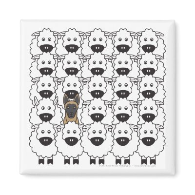 Belgian Malinois in the Sheep Magnets by khocker