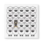 Belgian Malinois in the Sheep Magnets