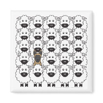 Belgian Malinois in the Sheep Magnets