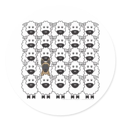 Belgian Malinois in the Sheep Round Stickers by khocker