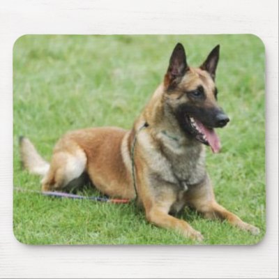 Belgian Malinois Mousepad by ValentinaRose