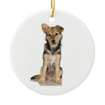 Belgian Malinois Ornament