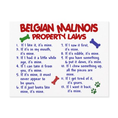 BELGIAN MALINOIS PL2 by poochloverstuff